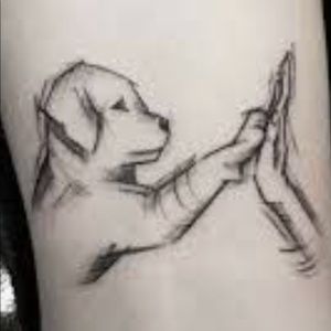 Meet your Posher, Nico